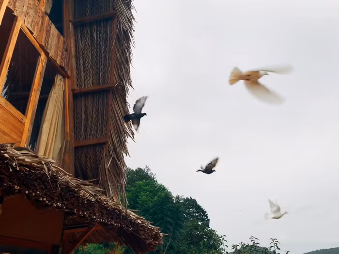 Hẹn hết dịch, mình mơ về một nơi yên bình nhé! ảnh 3