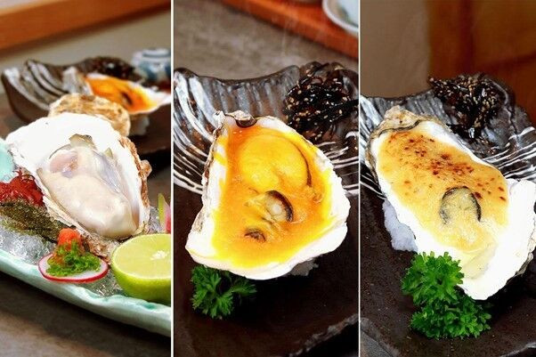 Đặc trưng ẩm thực mùa xuân của giới thượng lưu Nhật Bản ảnh 7 3 món hàu với 3 phong cách chế biến khác nhau mang lại hương vị tươi mới thuần khiết trong Magaki Sashimi, nướng sốt béo thơm đậm đà dưới phiên bản Cheese Yaki (nướng phô mai) và Miso Yaki (nướng sốt Miso).