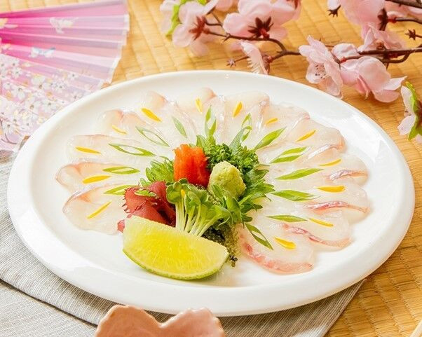 Đặc trưng ẩm thực mùa xuân của giới thượng lưu Nhật Bản ảnh 2 Houbou Usuzukuri với những miếng cá thái mỏng, hương vị đặc biệt khi dùng kèm sốt ponzu chua thanh, củ cải mài trộn bột ớt và hành lá xắt nhuyễn.