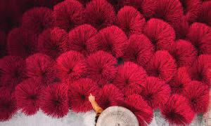 Cặp đôi Hà Lan bất ngờ trước cảnh đẹp và dịch vụ ở Việt Nam ảnh 2