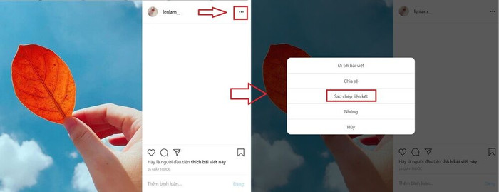 Hãy chọn một bức ảnh thật xinh sau đó lấy link liên kết nhé - Ảnh Lelam