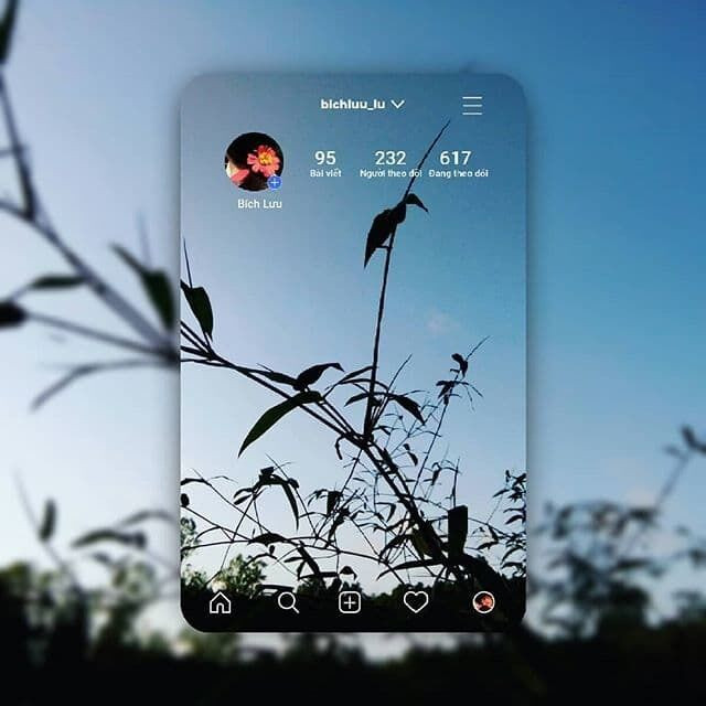 Trào lưu chỉnh ảnh Instagram card được nhiều bạn thực hiện. Ảnh bichluu