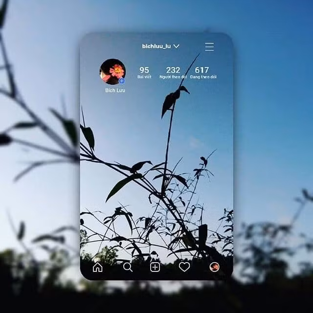 Trào lưu chỉnh ảnh Instagram card được nhiều bạn thực hiện. Ảnh bichluu