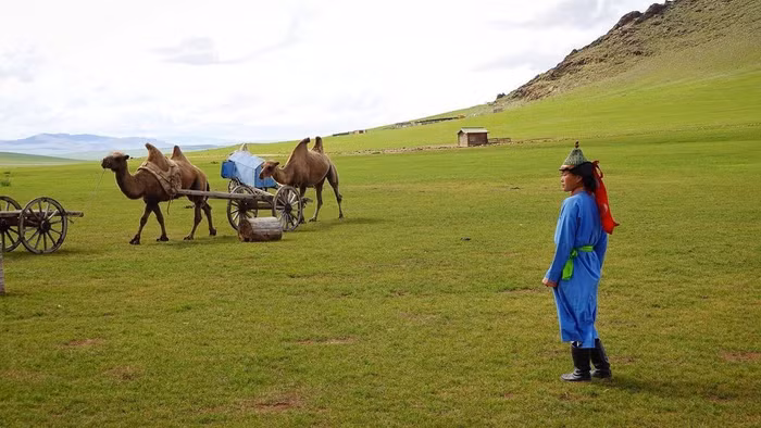 Ảnh: @thatsquidlyguy.