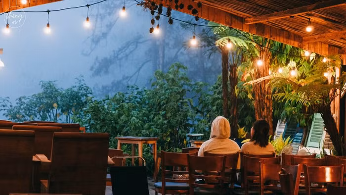 4 quán cà phê ẩn trong rừng Đà Lạt - 4