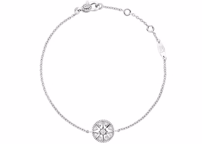 Ngôi sao may mắn của quý ngài Dior được thể hiện trong BST Dior Rose des Vents ảnh 5