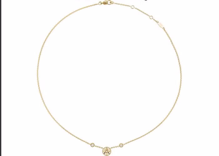 Ngôi sao may mắn của quý ngài Dior được thể hiện trong BST Dior Rose des Vents ảnh 8