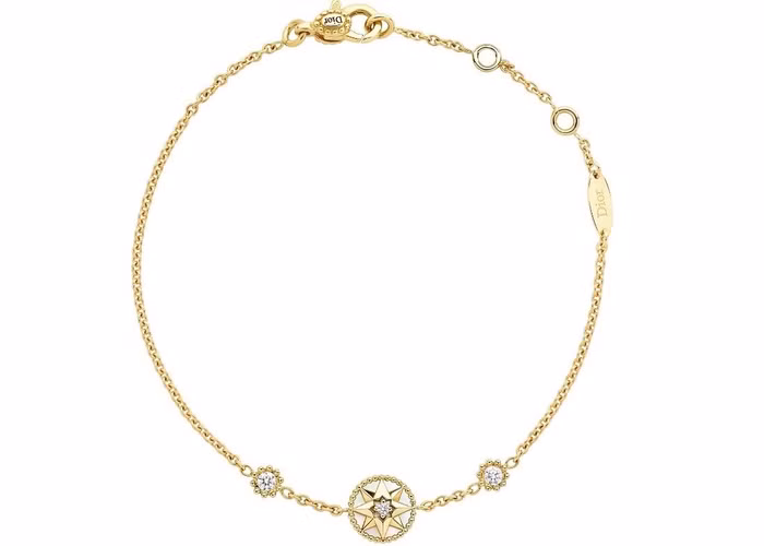 Ngôi sao may mắn của quý ngài Dior được thể hiện trong BST Dior Rose des Vents ảnh 6