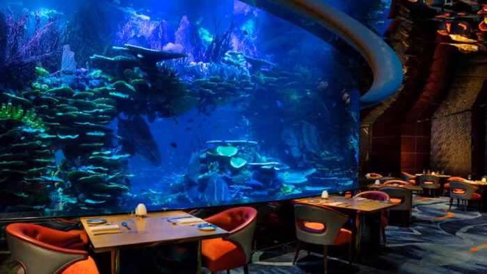 10 khách sạn dưới nước mang đến trải nghiệm "đáng nhớ nhất trong đời" ảnh 12