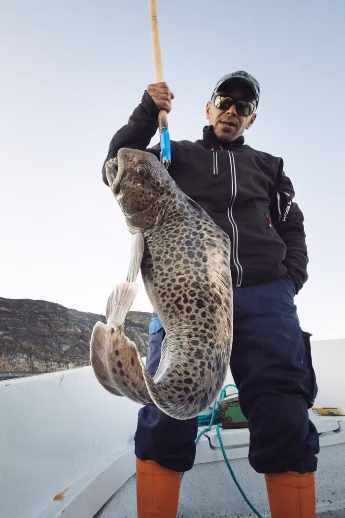 Cận cảnh hòn đảo khiến cựu Tổng thống Mỹ muốn mua - 7