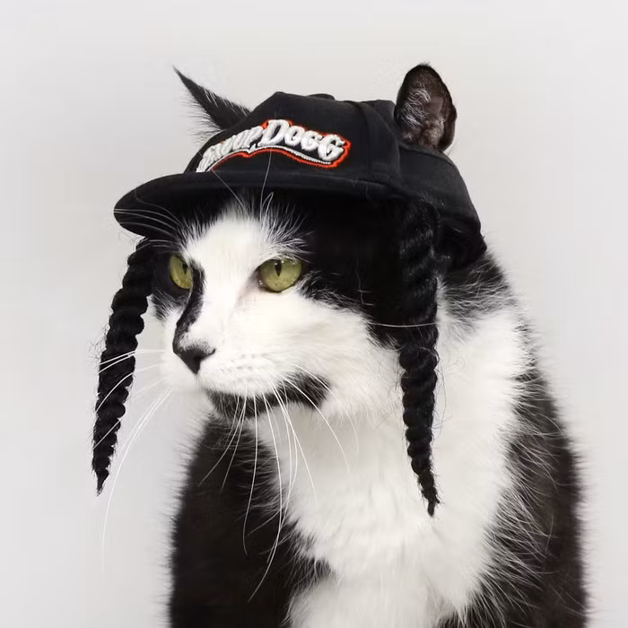 Snoop Doggie Doggs