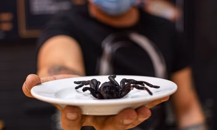 Đến Mexico ăn những món độc lạ mà ngon mê ly - 11