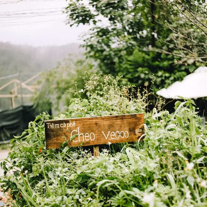 6 quán cà phê có view cực xịn, tha hồ ngắm “đặc sản” hoàng hôn ở Đà Lạt - 10