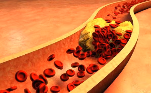 4 công dụng tuyệt vời từ phấn hoa-5