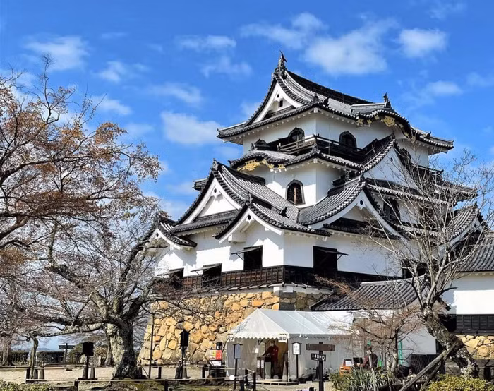 Những lâu đài không thể bỏ qua khi ghé thăm Nhật Bản ảnh 7