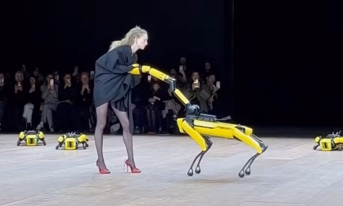 Chó robot lột đồ người mẫu