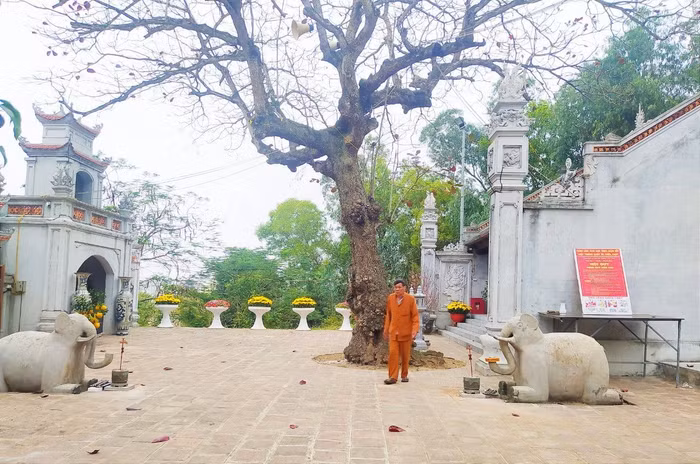 Cảnh quan ngôi đền có nhiều cây xanh che bóng, tạo cảm giác yên bình, mát mẻ.
