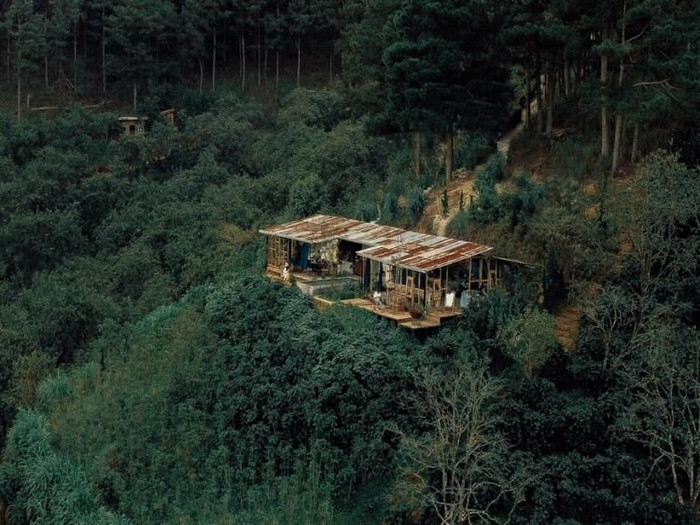 4 quán cà phê ẩn trong rừng Đà Lạt