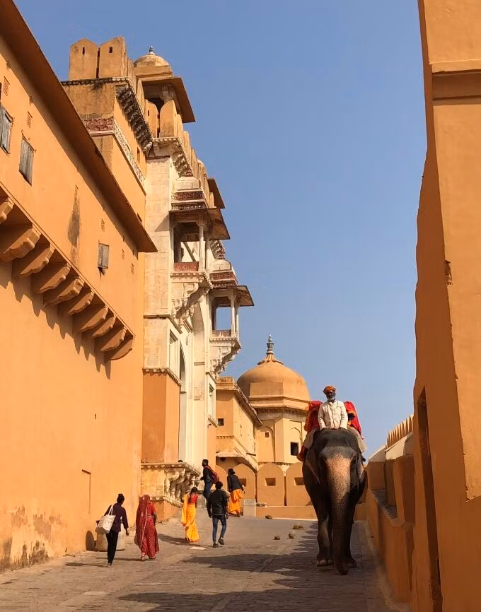 IMG-7494-JPG-8418-1674291697.jpg?w=680&h=0&q=100&dpr=1&fit=crop&s=Fn8v9DykVPeSKhC5DTFjgQ