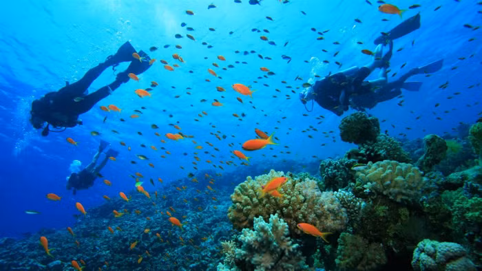 5 thiên đường biển tuyệt đẹp tại Philippines bạn nên ghé đến một lần-6