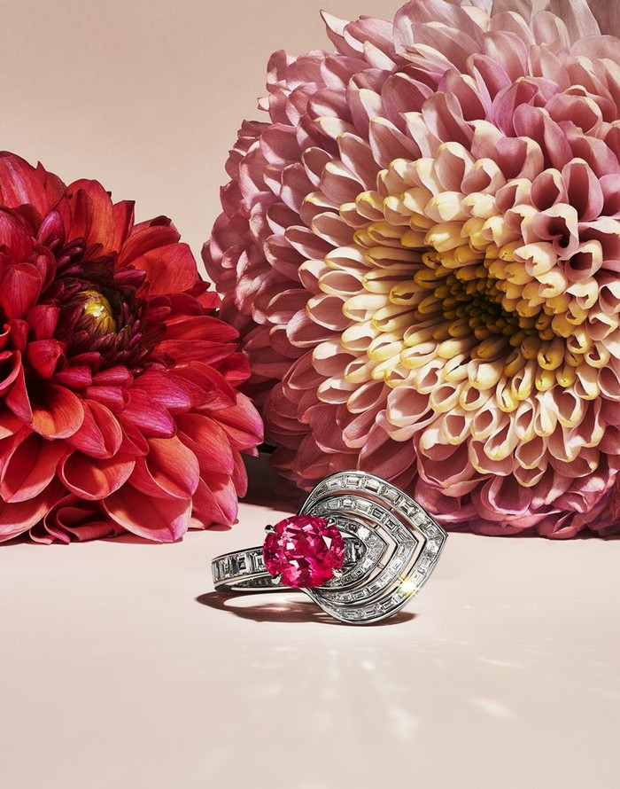 BST BOTANICA: Blue Book 2022 