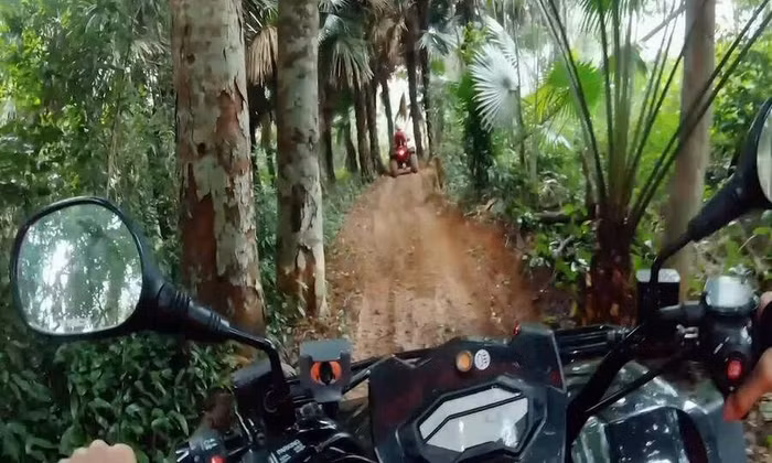 Khám phá rừng lim bằng xe ATV