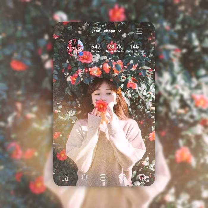 Cùng tìm hiểu xem ảnh Instagram card là gì? và cách tạo