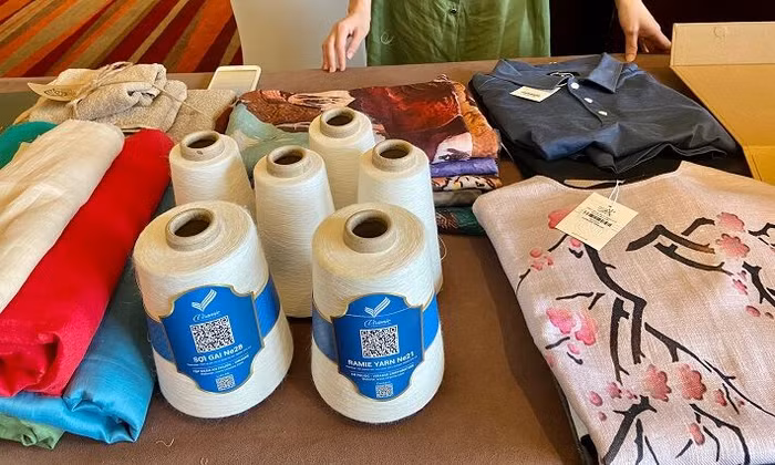 sợi gai xanh Việt Nam