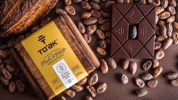 To’ak Chocolate - Loại socola đắt đỏ nhất hành tinh