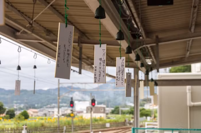 3 nhà ga trang trí độc lạ chỉ có ở Nhật Bản-6