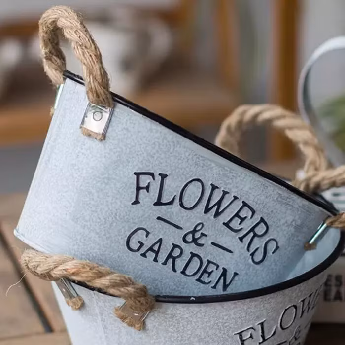 nâng cấp không gian sống với cây xanh