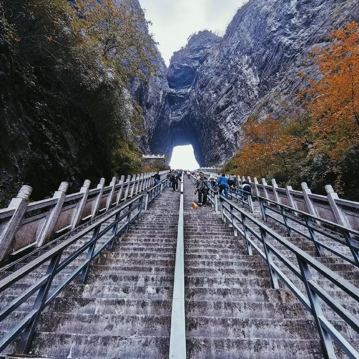 Ảnh: @francesca_lau_.