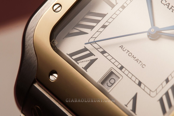 cartier-w2sa0006-21-of-24.jpg?v=1641368973336