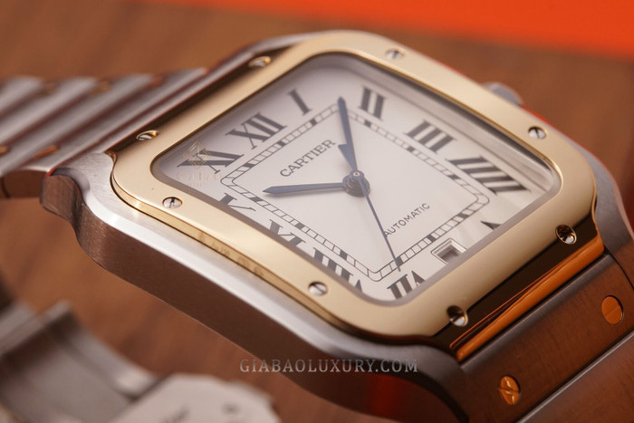 cartier-w2sa0006-13-of-24.jpg?v=1641368786520
