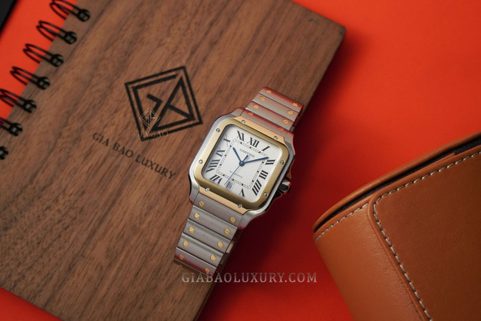 cartier-w2sa0006-1-of-24.jpg?v=1641369298158