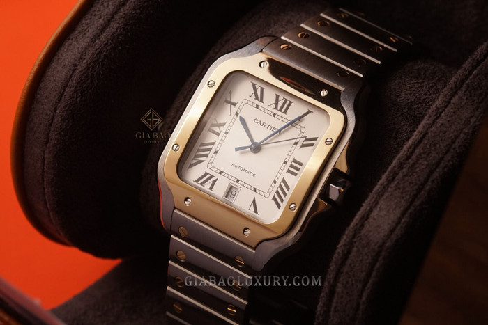 cartier-w2sa0006-15-of-24.jpg?v=1641368761936
