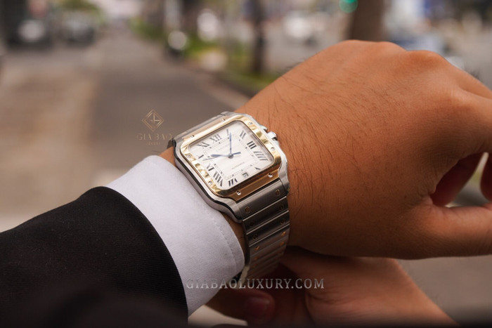 cartier-w2sa0006-7-of-24.jpg?v=1641369144569