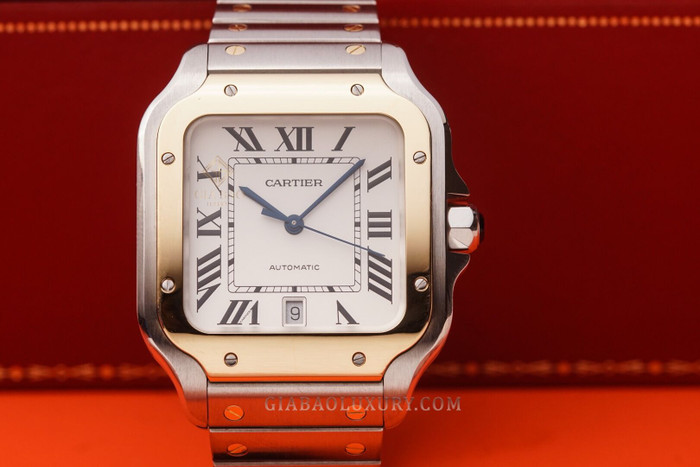cartier-w2sa0006-24-of-24.jpg?v=1641369063286