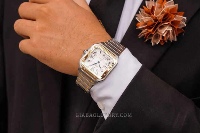 cartier-w2sa0006-6-of-24.jpg?v=1641369146996