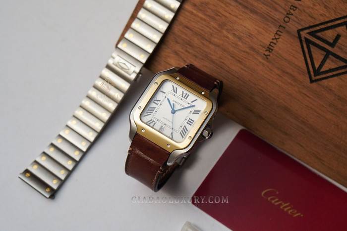 cartier-w2sa0006-4-of-24.jpg?v=1641368945708
