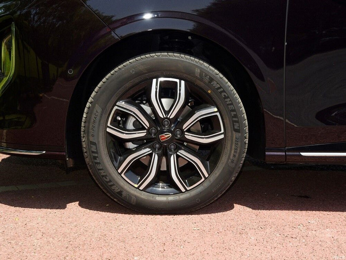 Hongqi MVP HQ9 chính thức được trình làng ảnh 12
