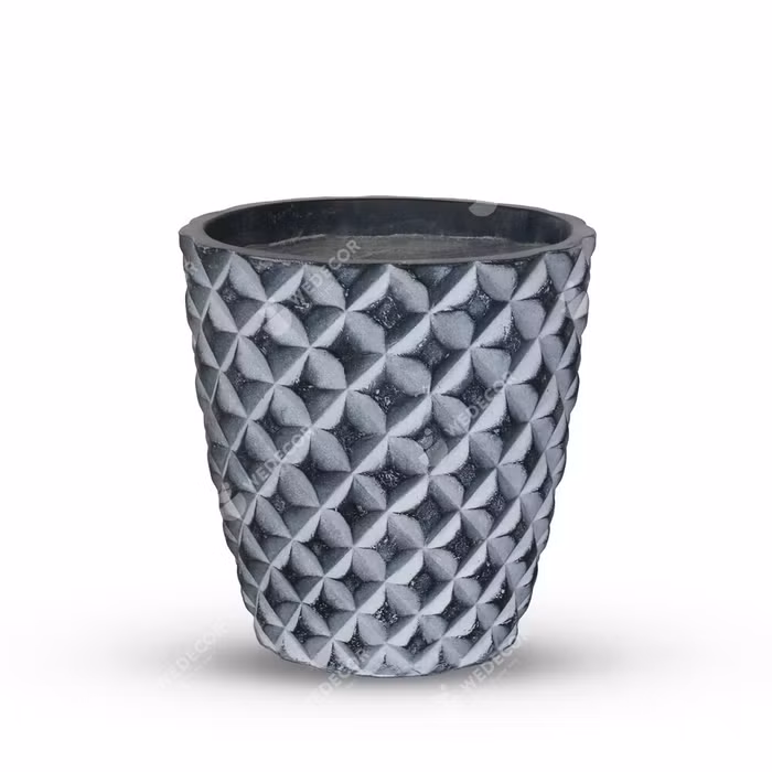 7 loại cây cảnh cực dễ chăm dành cho người mới trồng ảnh 1