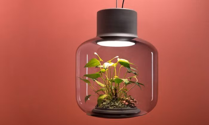 Mygdal Plantlights, giải pháp trồng cây trong đèn chiếu sáng có giá cả trăm triệu - Ảnh 1