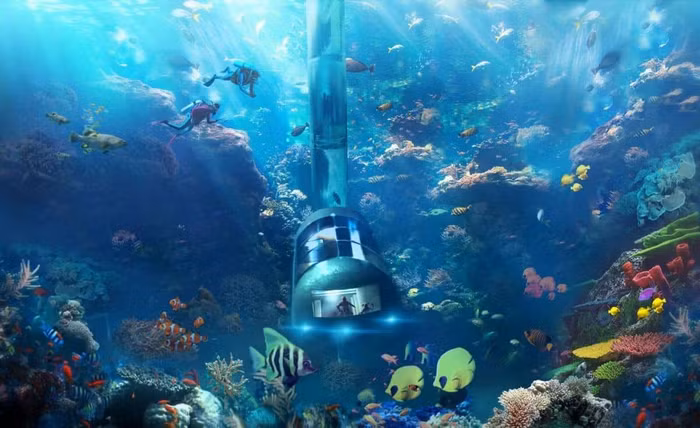 10 khách sạn dưới nước mang đến trải nghiệm "đáng nhớ nhất trong đời" ảnh 14