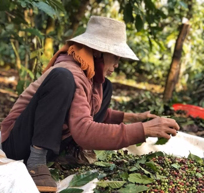 Bà H Ner Niê, 61 tuổi, trú tại Buôn Kmrơng B, Xã Ea Tu, TP, Buôn Ma Thuột.