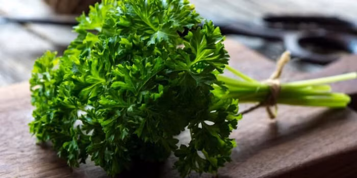 5 thực phẩm dễ kiếm giúp hơi thở thơm tho, tự tin giao tiếp - 1