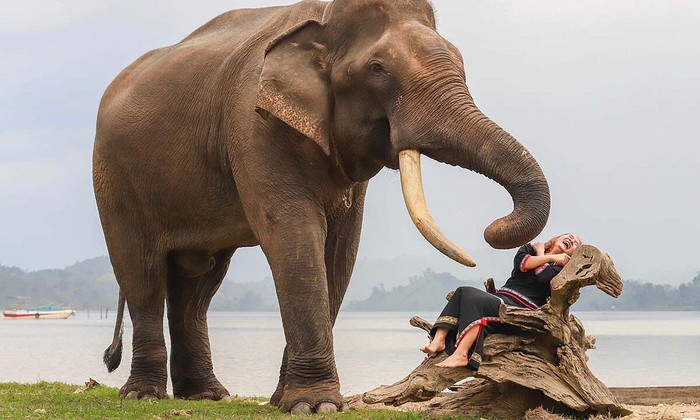 Chàng trai Tây Nguyên làm du lịch thân thiện với voi