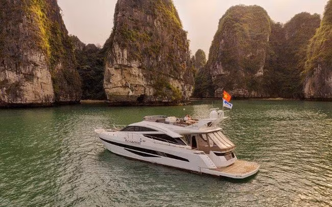 đấu giá du thuyền FLC Albatross