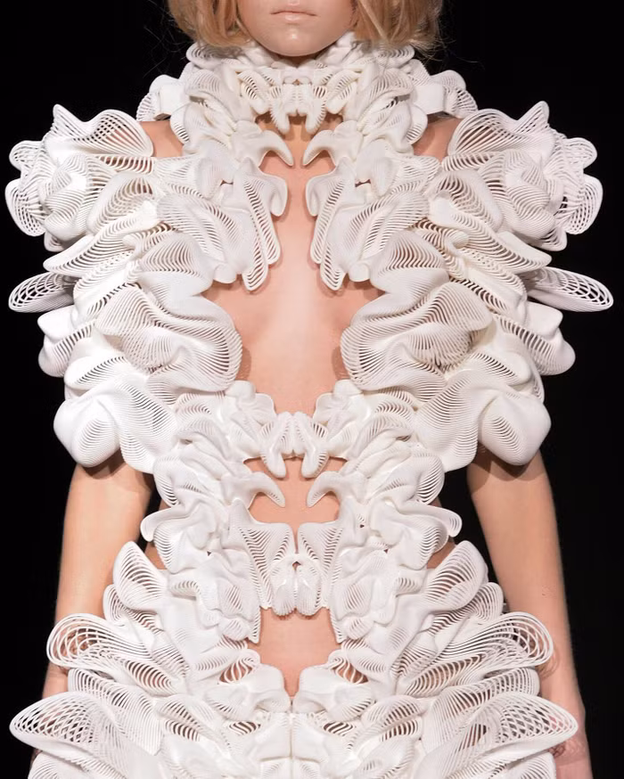 Iris Van Herpen - Những tác phẩm thời trang siêu thực từ công nghệ 3D ảnh 5