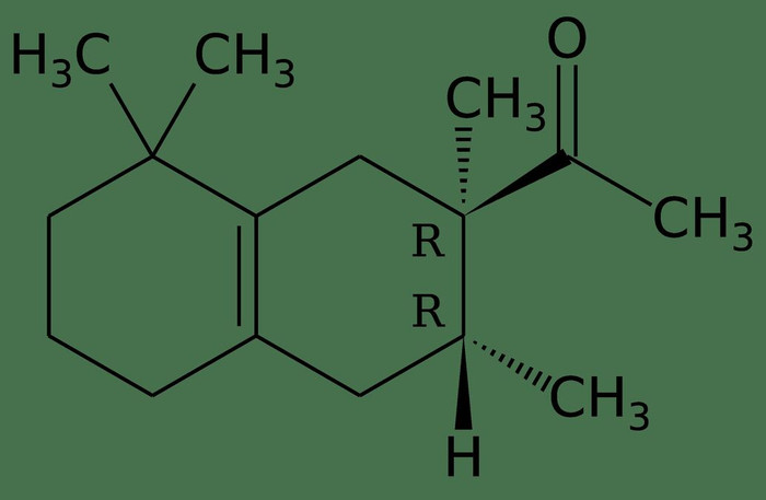 Thế giới mùi hương đậm phong cách Avant – garde độc đáo ảnh 8